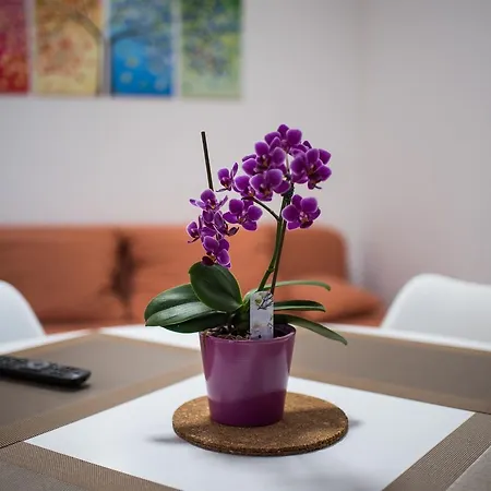 Rajko Apartment
